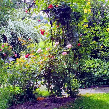 Appartement Ferien Im Paradies - Prima