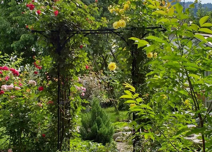 Appartement Ferien Im Paradies - Prima