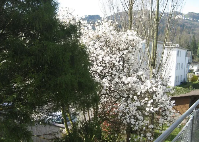 Ferien Im Paradies - Prima Appartement *