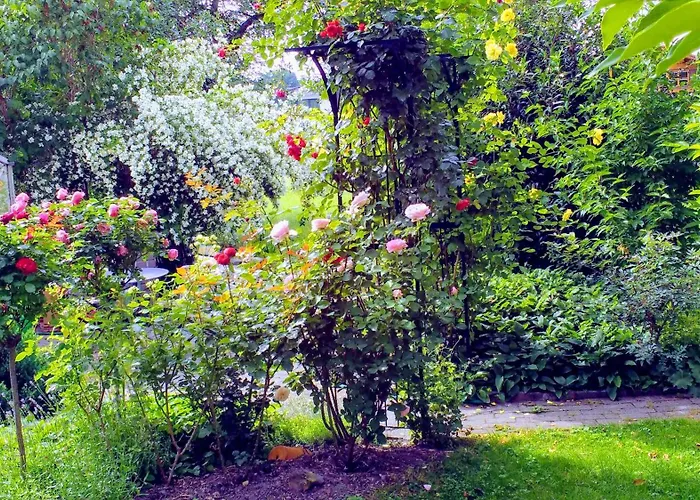 Appartement Ferien Im Paradies - Prima